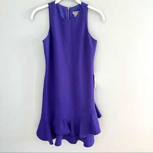 Nordstrom Purple Sleeveless Ruffle Dress